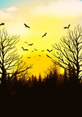 birds in the sunset