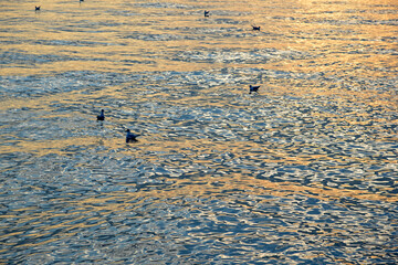 Sanfte Wellen im Abendrot