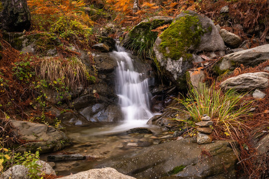 Long exposure image of a small stream cascading between colourful autumn ferns, trees and rocks in the Tartagine forest in the Balagne region of Corsica