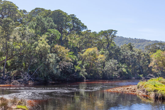 Grootrivier in South Africa's Garden Route