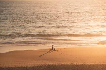 Chien et son maître sur une plage au coucher de soleil