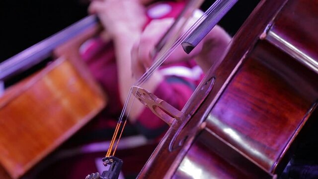 The musician plays the cello.Close-up movement of the bow on the strings.Symphony orchestra.