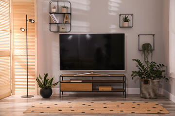 Stylish living room interior with TV on cabinet and houseplants