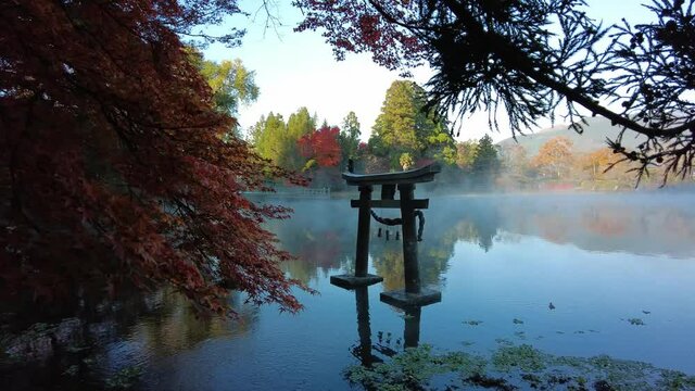 由布院　金鱗湖　早朝　朝霧　紅葉