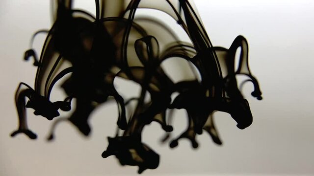 Black ink falls into the water, slow motion macro video.