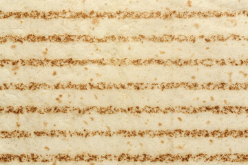 tortilla texture background