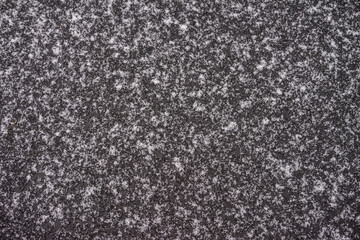 Picture of snow, frost. Cold weather, cold white nature. Great background image and miscellaneous.