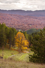 Beautiful mountain landscape of the Abruzzo Lazio and Molise National Park in autumn