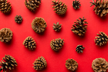 pine cones on colored table. natural holiday background with pinecones grouped together. Flat lay. Winter concept