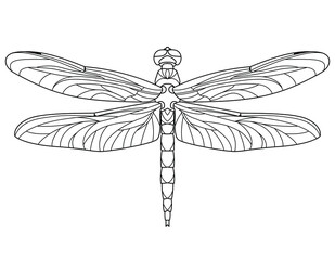 Dragonfly. Outline vector illustration for coloring book. Antistress for adults and children.  Elements for print, card, posters - obrazy, fototapety, plakaty