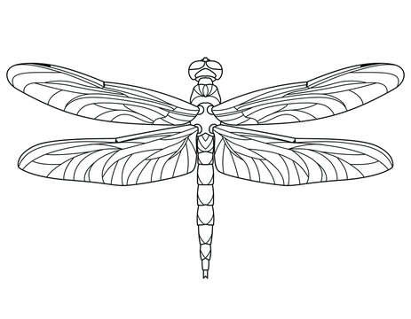 Dragonfly. Outline vector illustration for coloring book. Antistress for adults and children.  Elements for print, card, posters