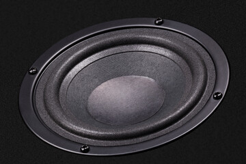 Loudspeaker with paper cone