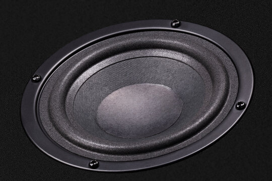Loudspeaker with paper cone