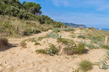Natural dunes on the coast of Noja, Spain