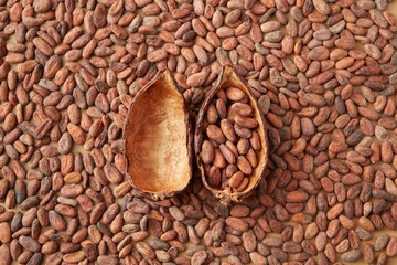 Pods of cocoa tree on aromatic beans