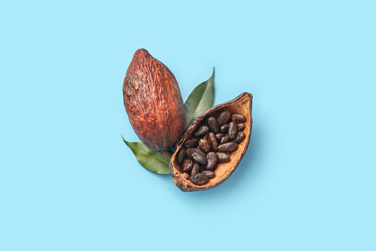Bitter cocoa beans in pod