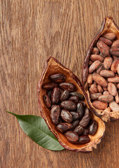 Organic cocoa beans in halved pods