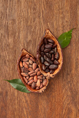 Pods with organic cocoa beans