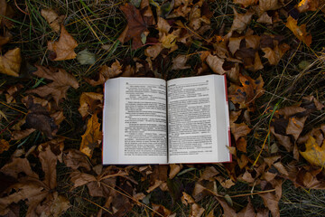 Naklejka na ściany i meble an open book in the autumn in the forest above. books to read. autumn books to read. The text is transformed and not recognizable. 