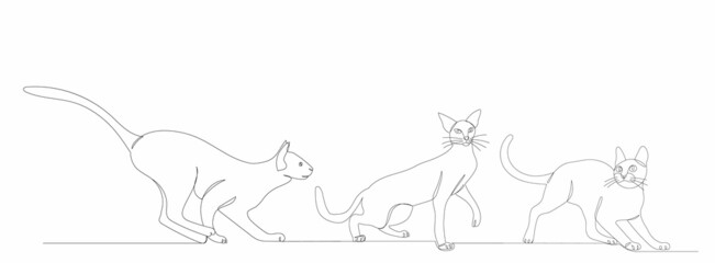 cats drawing by one continuous line, vector, isolated