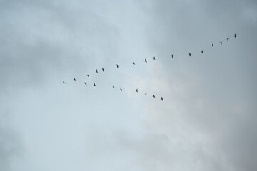 Flug in den Süden