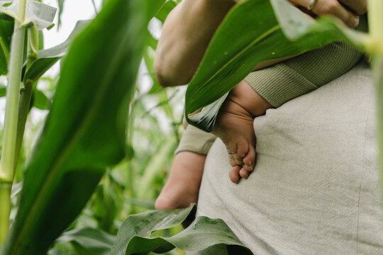 Mother and toddler in corn field