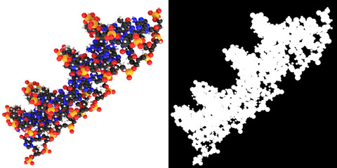 3D rendering illustration of DNA molecules