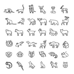 Animal icons. vector outline icon set. Zoo
