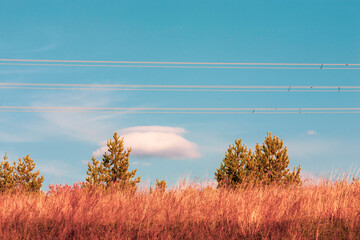 Landscape with wires of power lines on the background of the autumn sky over a hillock with pine...