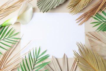 Tropical natural background with palm leaf on pastel beige. Flat lay, copy space