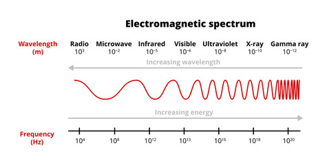 Vector scientific illustration of the electromagnetic spectrum –  radio, microwave, infrared, visible, ultraviolet, x-ray, gamma-ray waves isolated on a white background. Frequency and wavelength.