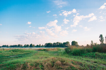 Sunrise in the morning forest overlooking nature. Morning fog spreads over the ground. Rural landscape. Meadow and forest.	