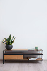 Elegant room interior with wooden cabinet and beautiful houseplant near white wall