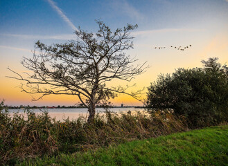Obraz premium View of the Wijde AA with the Veendermolen. The Wijde AA and the Veendermolen are located in the municipality of Kaag en Braassem in the Dutch province of South Holland. The Veendermolen was built in 