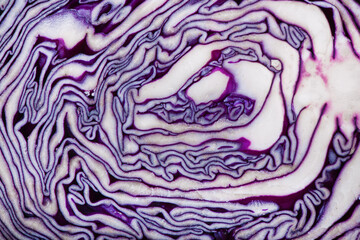 Obraz premium Sliced red cabbage