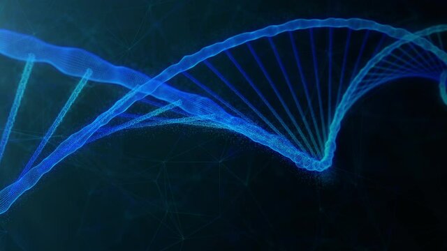 Blue dna strand with genome code spinning in the dark black background. Animated loopable footage with abstract dna helix with gen sequence chain. Scientific digital animation for research laboratory.