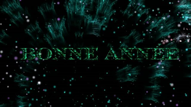 Animation of bonne annee text in green with new year fireworks exploding in night sky