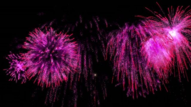 Animation of pink and blue christmas and new year fireworks exploding in night sky