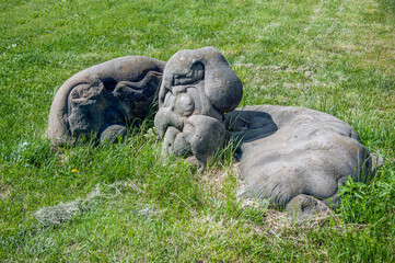 Stones that look like aliens from another planet