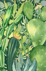 Watercolor bright illustration of succulents. A hand-drawn clipart with a southern mood.