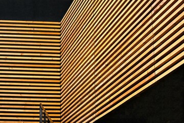 "A en perdre la raison"