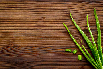 Aloe vera green leaves for medical herbal cosmetic