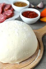 Concept of cooking pizza on gray wooden background