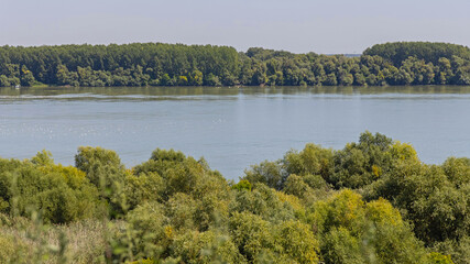 Fototapeta na wymiar River Danube Landscape