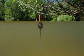 a bobber floats vertically in a forest stream