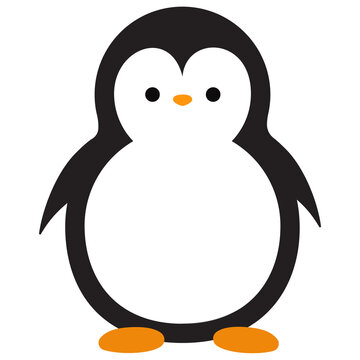 penguin vector illustration, penguin cartoon vector art