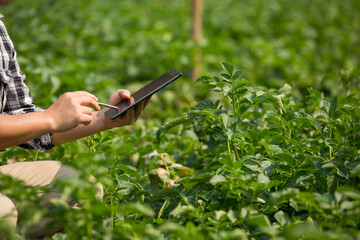 Hands of farmer, Agriculture technology farmer man using tablet Modern technology concept agriculture.