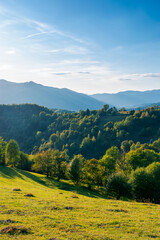 autumnal landscape of carpathian countryside. early autumn season in mountains. trees on the grassy hills rolling in to the distant valley. beautiful scenery on a warm sunny evening with clouds