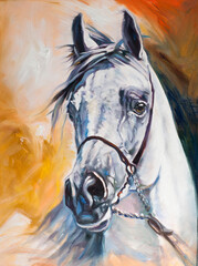 White Arabian horse head painting oil on canvas hand made art © Natalia