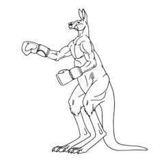 A sporty male kangaroo in boxing gloves. The Australian symbol. Vector illustration with contour lines in black ink isolated on a white background in cartoon and hand-drawn style.
